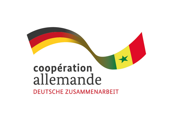 giz-cooperation-allemande-developpement-international-logo